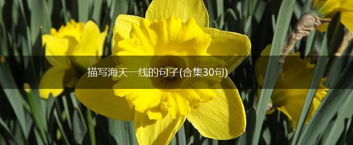描写海天一线的句子(合集30句),第1张