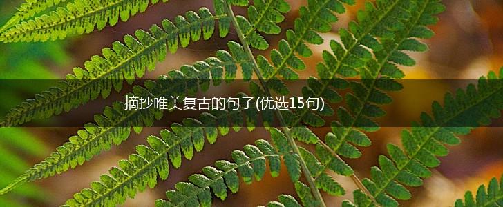 摘抄唯美复古的句子(优选15句),第1张