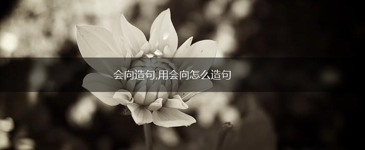 会向造句,用会向怎么造句,第1张