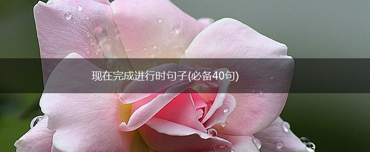 现在完成进行时句子(必备40句),第1张