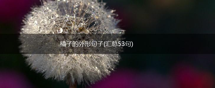橘子的外形句子(汇总53句),第1张