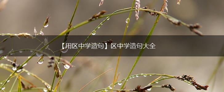 【用区中学造句】区中学造句大全,第1张