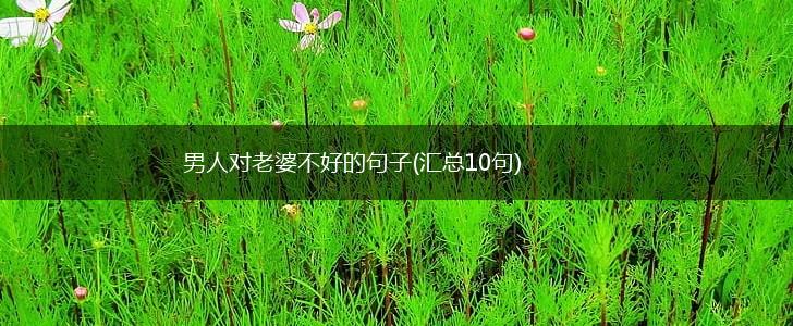 男人对老婆不好的句子(汇总10句),第1张