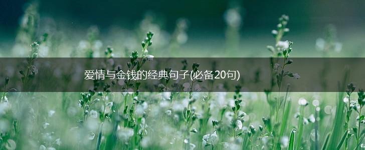 爱情与金钱的经典句子(必备20句),第1张