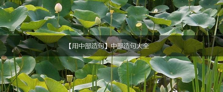 【用中部造句】中部造句大全,第1张