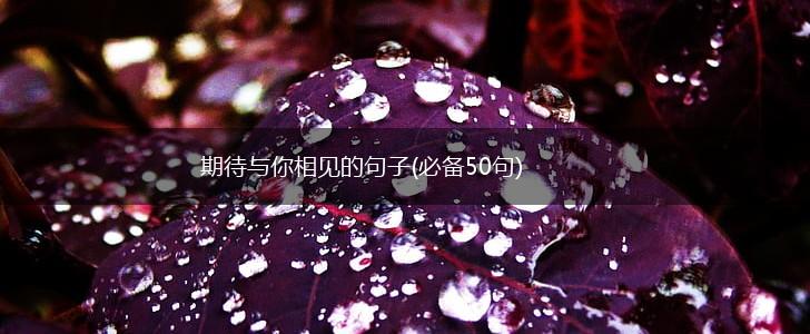 期待与你相见的句子(必备50句),第1张