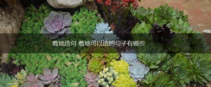 着地造句 着地可以造的句子有哪些,第1张