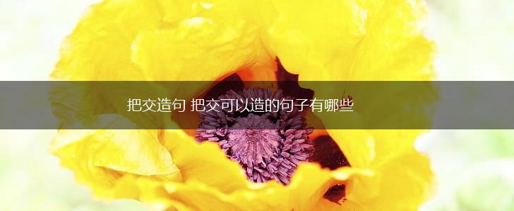 把交造句 把交可以造的句子有哪些,第1张