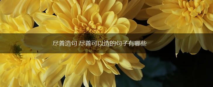 尽善造句 尽善可以造的句子有哪些,第1张