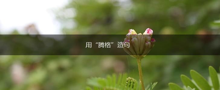 用“腾格”造句,第1张