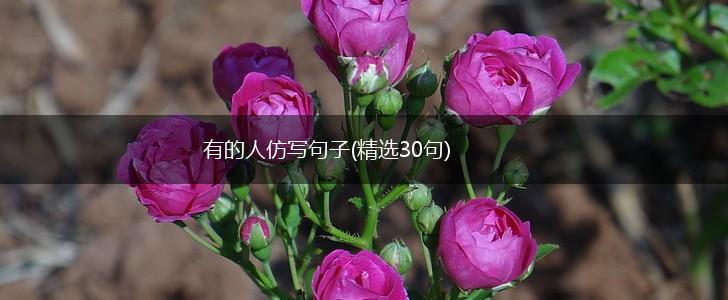 有的人仿写句子(精选30句),第1张