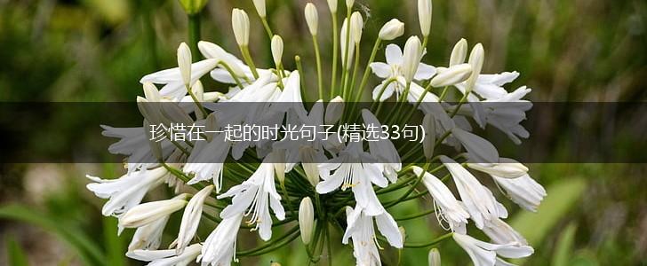 珍惜在一起的时光句子(精选33句),第1张