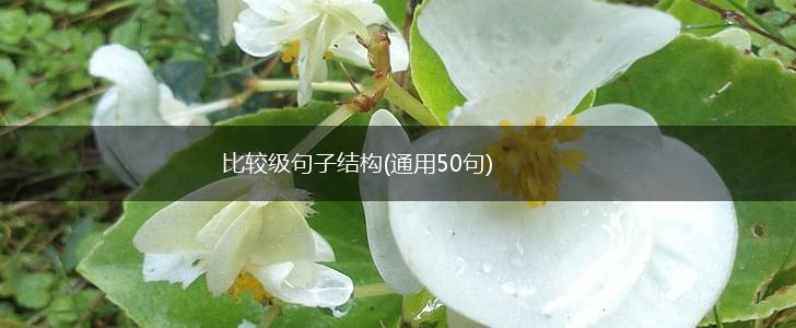 比较级句子结构(通用50句),第1张