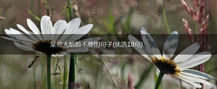 某些人给脸不要的句子(优选10句),第1张
