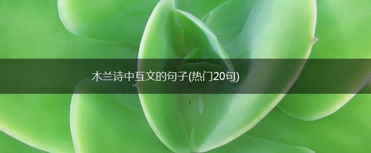 木兰诗中互文的句子(热门20句),第1张