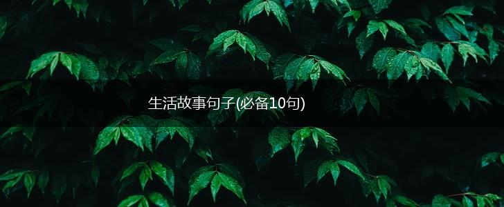 生活故事句子(必备10句),第1张