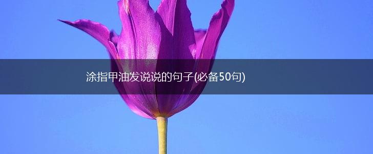 涂指甲油发说说的句子(必备50句),第1张
