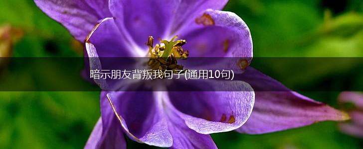 暗示朋友背叛我句子(通用10句),第1张