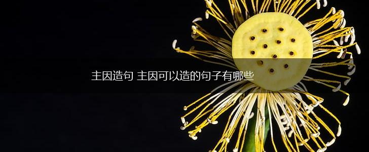 主因造句 主因可以造的句子有哪些,第1张