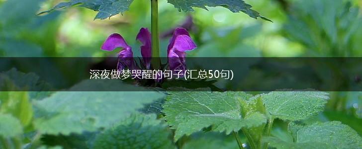 深夜做梦哭醒的句子(汇总50句),第1张