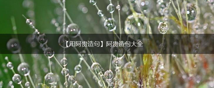 【用阿贵造句】阿贵造句大全,第1张