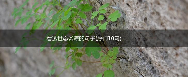 看透世态炎凉的句子(热门10句),第1张