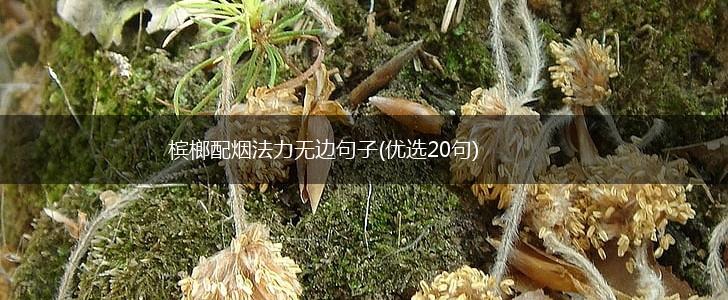 槟榔配烟法力无边句子(优选20句),第1张