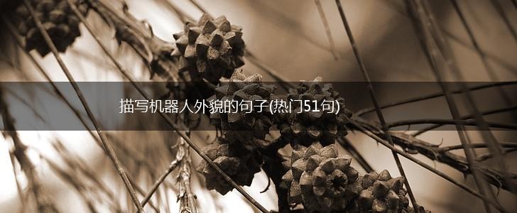 描写机器人外貌的句子(热门51句),第1张