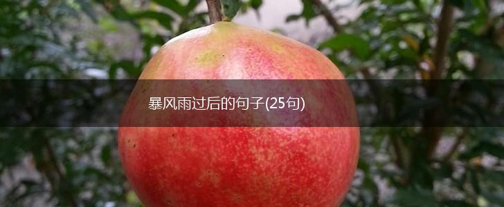 暴风雨过后的句子(25句),第1张