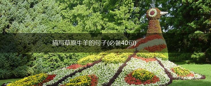 描写草原牛羊的句子(必备40句),第1张