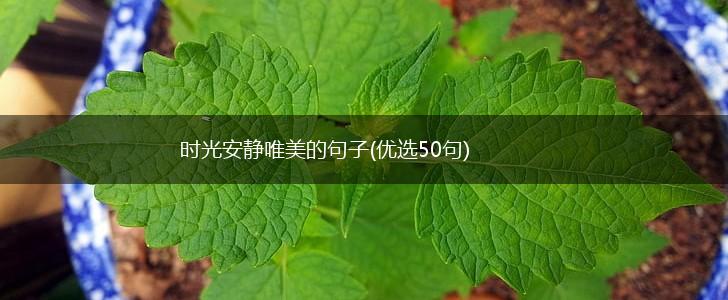 时光安静唯美的句子(优选50句),第1张
