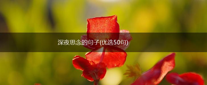深夜思念的句子(优选50句),第1张