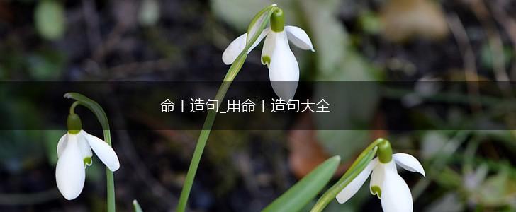 命干造句_用命干造句大全,第1张