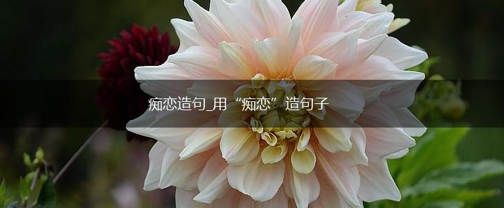 痴恋造句_用“痴恋”造句子,第1张