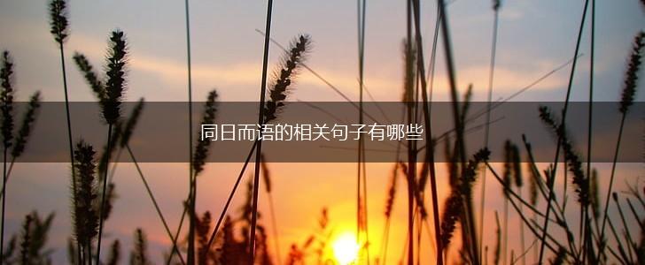 同日而语的相关句子有哪些,第1张
