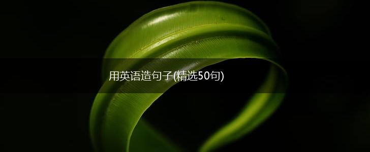 用英语造句子(精选50句),第1张
