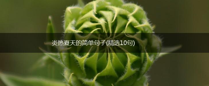 炎热夏天的简单句子(精选10句),第1张