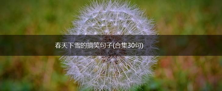 春天下雪的搞笑句子(合集30句),第1张