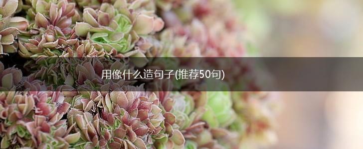 用像什么造句子(推荐50句),第1张