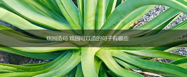 戏园造句 戏园可以造的句子有哪些,第1张