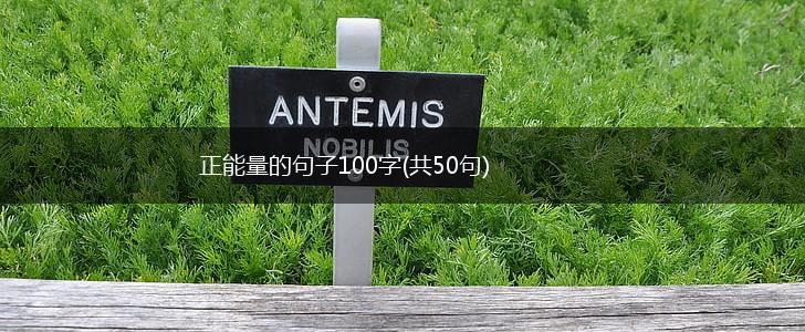 正能量的句子100字(共50句),第1张