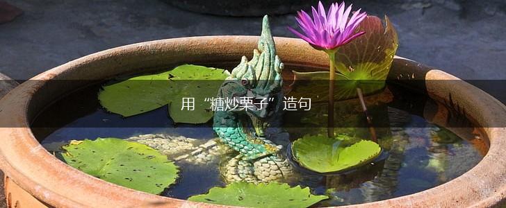 用“糖炒栗子”造句,第1张