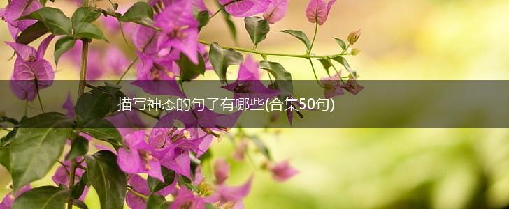 描写神态的句子有哪些(合集50句),第1张