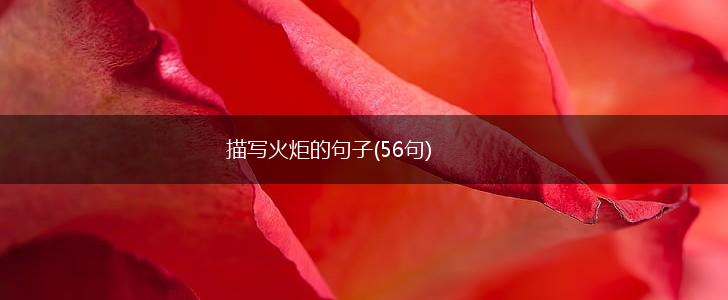 描写火炬的句子(56句),第1张