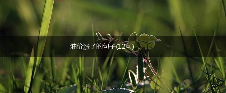 油价涨了的句子(12句),第1张