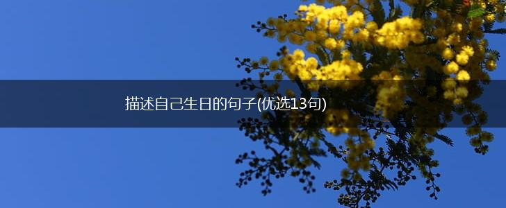 描述自己生日的句子(优选13句),第1张