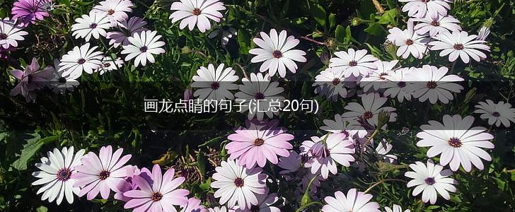 画龙点睛的句子(汇总20句),第1张