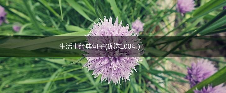 生活中经典句子(优选100句),第1张