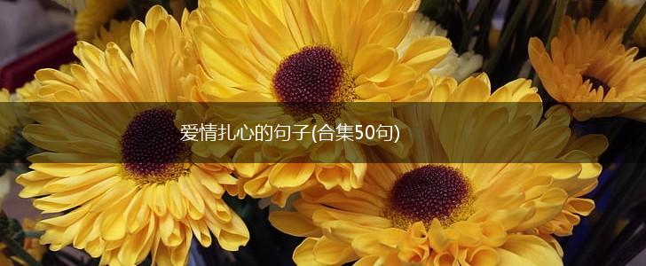 爱情扎心的句子(合集50句),第1张