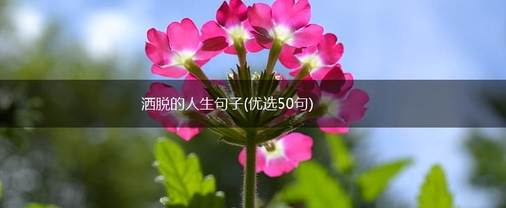 洒脱的人生句子(优选50句),第1张